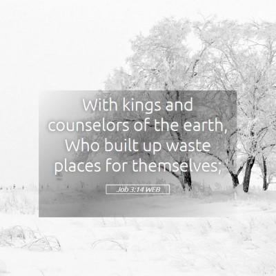 Picture 05 - Job 3:14 WEB - With kings and counselors of the earth, Who built - Bible Verse Picture