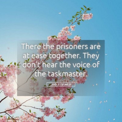 Picture 05 - Job 3:18 WEB - There the prisoners are at ease together. They - Bible Verse Picture