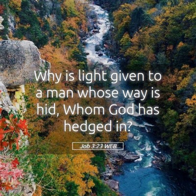 Picture 05 - Job 3:23 WEB - Why is light given to a man whose way is hid, - Bible Verse Picture