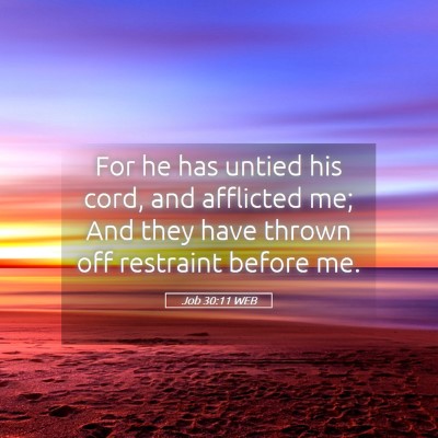 Picture 05 - Job 30:11 WEB - For he has untied his cord, and afflicted me; And - Bible Verse Picture
