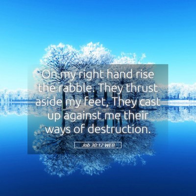 Picture 05 - Job 30:12 WEB - On my right hand rise the rabble. They thrust - Bible Verse Picture