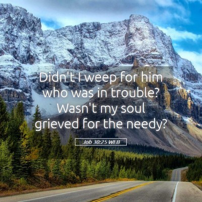 Picture 05 - Job 30:25 WEB - Didn't I weep for him who was in trouble? Wasn't - Bible Verse Picture