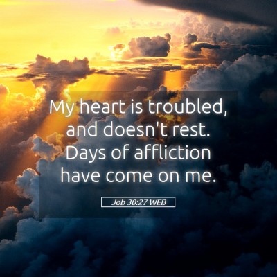 Picture 05 - Job 30:27 WEB - My heart is troubled, and doesn't rest. Days of - Bible Verse Picture