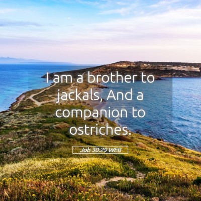 Picture 05 - Job 30:29 WEB - I am a brother to jackals, And a companion to - Bible Verse Picture