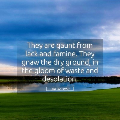 Picture 05 - Job 30:3 WEB - They are gaunt from lack and famine. They gnaw - Bible Verse Picture