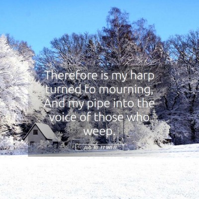 Picture 05 - Job 30:31 WEB - Therefore is my harp turned to mourning, And my - Bible Verse Picture
