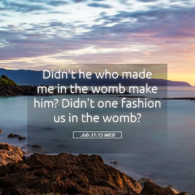 Picture 05 - Job 31:15 WEB - Didn't he who made me in the womb make him? - Bible Verse Picture