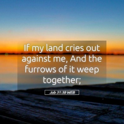 Picture 05 - Job 31:38 WEB - If my land cries out against me, And the furrows - Bible Verse Picture