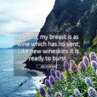 Picture 05 - Job 32:19 WEB - Behold, my breast is as wine which has no vent; - Bible Verse Picture