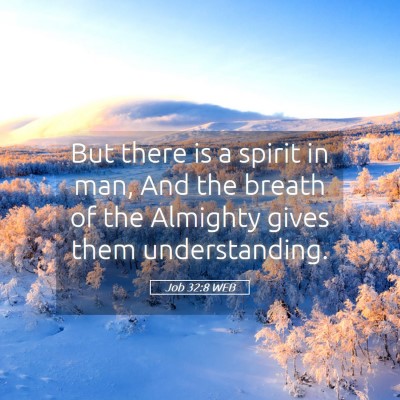 Picture 05 - Job 32:8 WEB - But there is a spirit in man, And the breath of - Bible Verse Picture