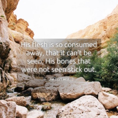 Picture 05 - Job 33:21 WEB - His flesh is so consumed away, that it can't be - Bible Verse Picture