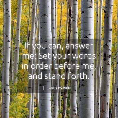 Picture 05 - Job 33:5 WEB - If you can, answer me; Set your words in order - Bible Verse Picture