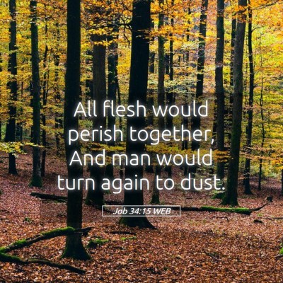 Picture 05 - Job 34:15 WEB - All flesh would perish together, And man would - Bible Verse Picture