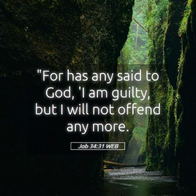 Picture 05 - Job 34:31 WEB - 