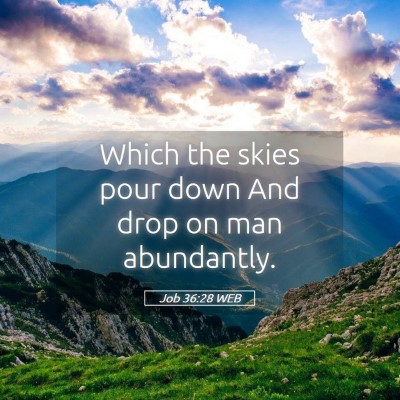 Picture 05 - Job 36:28 WEB - Which the skies pour down And drop on man - Bible Verse Picture