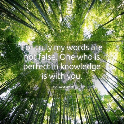 Picture 05 - Job 36:4 WEB - For truly my words are not false. One who is - Bible Verse Picture