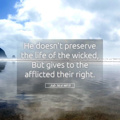 Picture 05 - Job 36:6 WEB - He doesn't preserve the life of the wicked, But - Bible Verse Picture