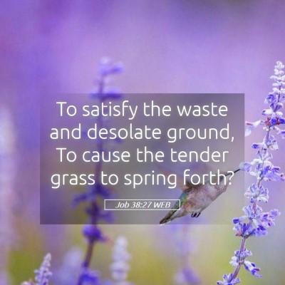 Picture 05 - Job 38:27 WEB - To satisfy the waste and desolate ground, To - Bible Verse Picture