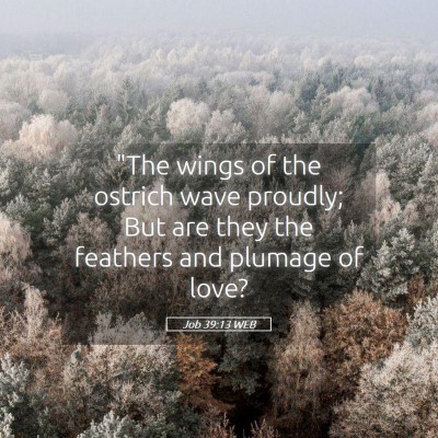 Picture 05 - Job 39:13 WEB - 