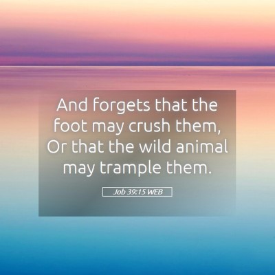 Picture 05 - Job 39:15 WEB - And forgets that the foot may crush them, Or that - Bible Verse Picture