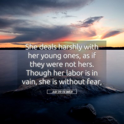 Picture 05 - Job 39:16 WEB - She deals harshly with her young ones, as if they - Bible Verse Picture