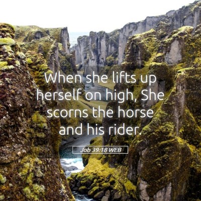 Picture 05 - Job 39:18 WEB - When she lifts up herself on high, She scorns the - Bible Verse Picture