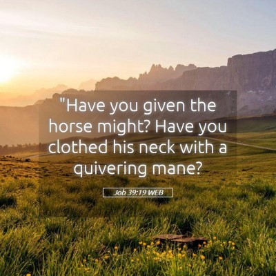 Picture 05 - Job 39:19 WEB - 