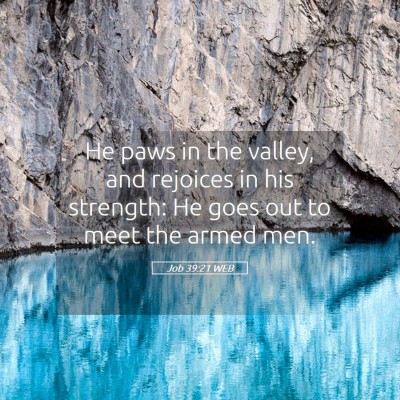 Picture 05 - Job 39:21 WEB - He paws in the valley, and rejoices in his - Bible Verse Picture