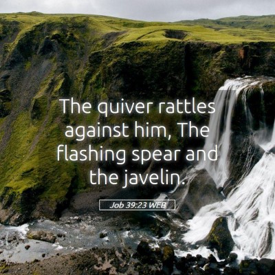 Picture 05 - Job 39:23 WEB - The quiver rattles against him, The flashing - Bible Verse Picture