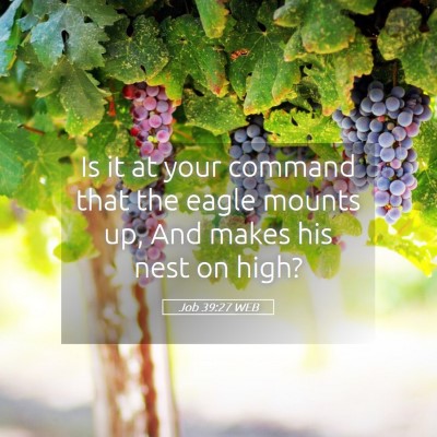 Picture 05 - Job 39:27 WEB - Is it at your command that the eagle mounts up, - Bible Verse Picture