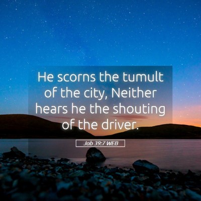 Picture 05 - Job 39:7 WEB - He scorns the tumult of the city, Neither hears - Bible Verse Picture