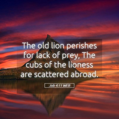 Picture 05 - Job 4:11 WEB - The old lion perishes for lack of prey, The cubs - Bible Verse Picture