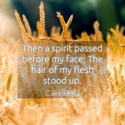 Picture 05 - Job 4:15 WEB - Then a spirit passed before my face; The hair of - Bible Verse Picture