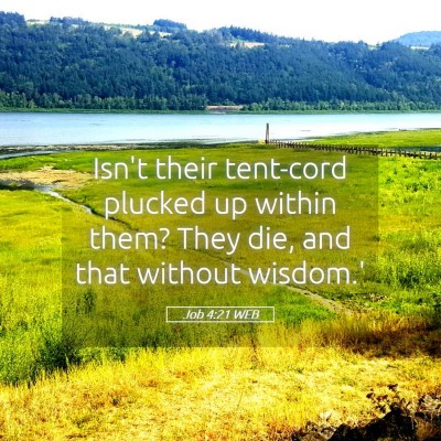 Picture 05 - Job 4:21 WEB - Isn't their tent-cord plucked up within them? - Bible Verse Picture