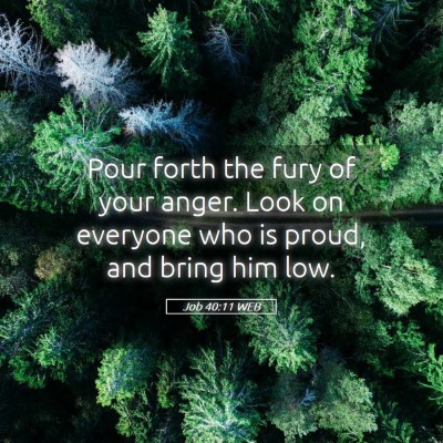 Picture 05 - Job 40:11 WEB - Pour forth the fury of your anger. Look on - Bible Verse Picture