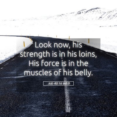 Picture 05 - Job 40:16 WEB - Look now, his strength is in his loins, His force - Bible Verse Picture
