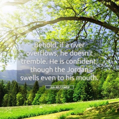 Picture 05 - Job 40:23 WEB - Behold, if a river overflows, he doesn't tremble. - Bible Verse Picture