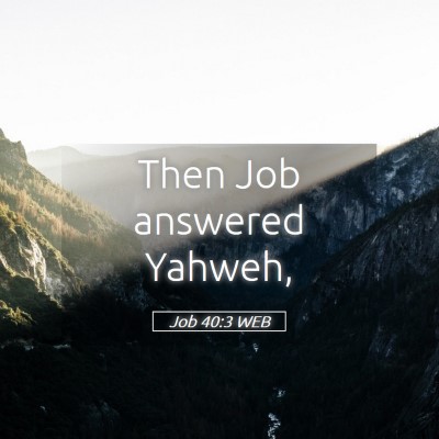 Picture 05 - Job 40:3 WEB - Then Job answered - Bible Verse Picture