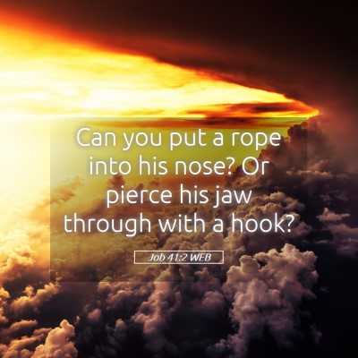 Picture 05 - Job 41:2 WEB - Can you put a rope into his nose? Or pierce his - Bible Verse Picture
