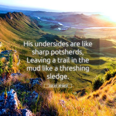 Picture 05 - Job 41:30 WEB - His undersides are like sharp potsherds, Leaving - Bible Verse Picture