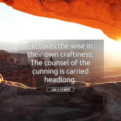 Picture 05 - Job 5:13 WEB - He takes the wise in their own craftiness; The - Bible Verse Picture