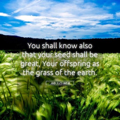 Picture 05 - Job 5:25 WEB - You shall know also that your seed shall be - Bible Verse Picture