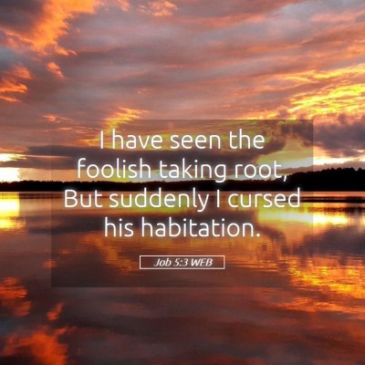 Picture 05 - Job 5:3 WEB - I have seen the foolish taking root, But suddenly - Bible Verse Picture
