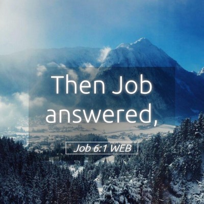 Picture 05 - Job 6:1 WEB - Then Job - Bible Verse Picture
