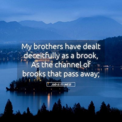 Picture 05 - Job 6:15 WEB - My brothers have dealt deceitfully as a brook, As - Bible Verse Picture