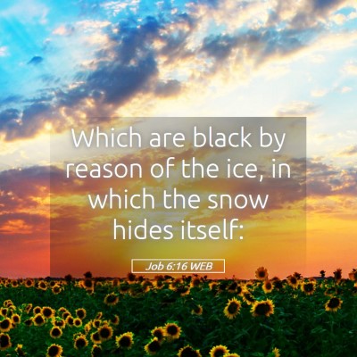 Picture 05 - Job 6:16 WEB - Which are black by reason of the ice, in which - Bible Verse Picture