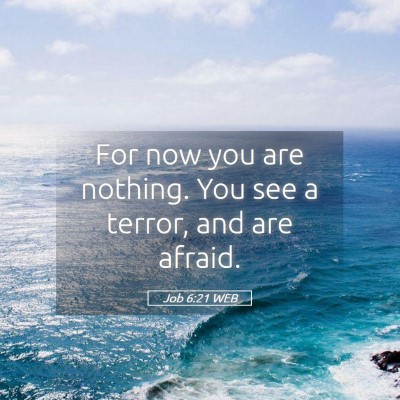 Picture 05 - Job 6:21 WEB - For now you are nothing. You see a terror, and - Bible Verse Picture
