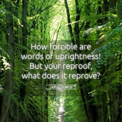 Picture 05 - Job 6:25 WEB - How forcible are words of uprightness! But your - Bible Verse Picture