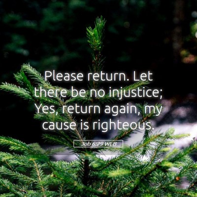 Picture 05 - Job 6:29 WEB - Please return. Let there be no injustice; Yes, - Bible Verse Picture
