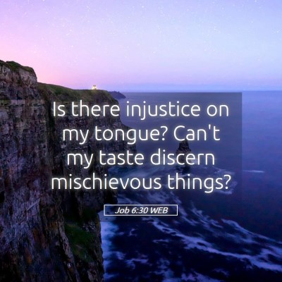 Picture 05 - Job 6:30 WEB - Is there injustice on my tongue? Can't my taste - Bible Verse Picture